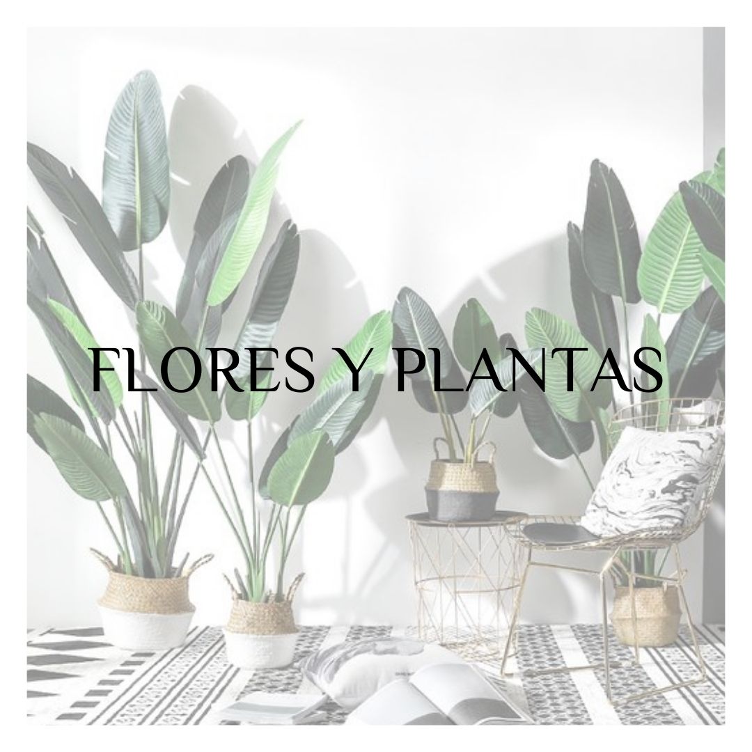 Plantas